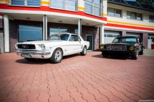 Mustang Żory white